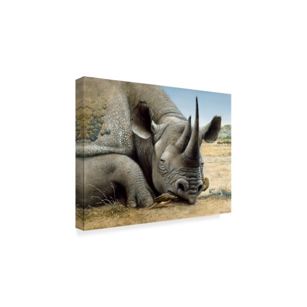 Harro Maass 'Black Rhino' Canvas Art,24x32